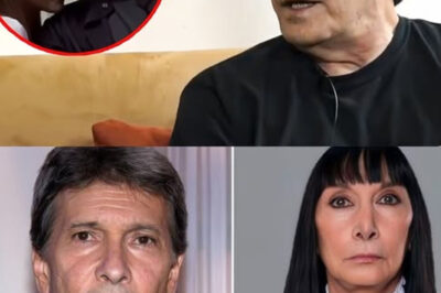 Ferrara: Un Ícono de la Televisión Mexicana y un Legado Inmortal