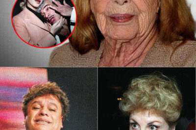 Claudia Islas, a la edad de casi 80 años, vive entre los recuerdos de una época dorada en el cine mexicano. La vida llena de nostalgia de ella oculta qué historias aún no han sido contadas.
