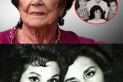 Habiendo pasado los 80 años, la vida de Julissa – una estrella mexicana de antaño, es una historia triste de lucha constante contra la adversidad. ¿Qué verdad se oculta tras el estilo de vida lleno de arrepentimientos de ella?