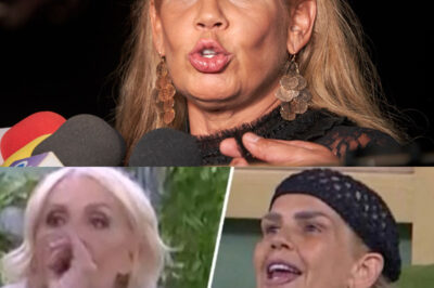 “Escándalo en La Casa de los Famosos: Fans piden la expulsión de Niurka Marcos tras incidente con Laura Bozzo”