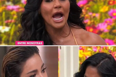 Maripily Rivera y Aleska vuelven a pelear pero esta vez fuera del reality