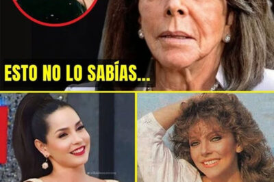 ¡Impactante! Verónica Castro Rompe Su Silencio A Los 71 Años y Admite Lo Que Nadie Esperaba. ¡Nos Deja Perplejos!