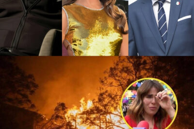 Famosos Mexicanos en Shock: Pierden Todo por los Devastadores Incendios en California