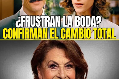 ¡Increíble! María Antonieta Collins finalmente admite lo que todos sospechaban