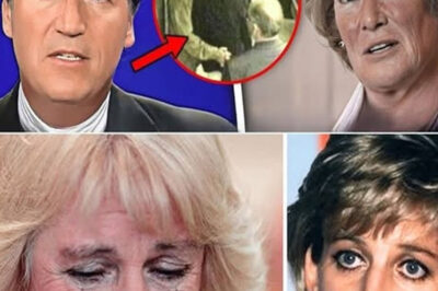 La Hermana de la Princesa Diana Rompe el Silencio a los 60 Años: Revelaciones Sorprendentes que Dejan al Mundo Impactado”