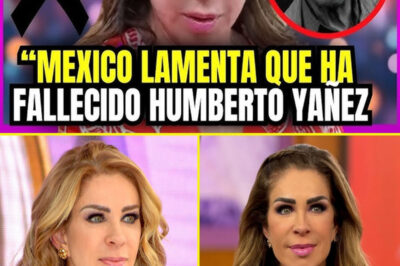 Rocío Sánchez Azuara Rompe el Silencio: La Sorpresiva Verdad Detrás de la Cancelación de Su Éxito Televisivo