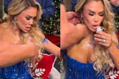 Bochornoso momento vivió Ninel Conde en el elgordoylaflaca con tasa de café