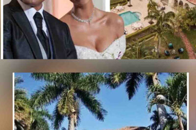 Revelando “La impresionante villa donde Fernando Colunga y Blanca Soto escondieron en secreto a su hijo”