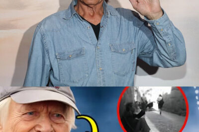 La Impactante Realidad de Terence Hill: Así Luce Hoy y la Tristeza que Envuelve su Vida Actual