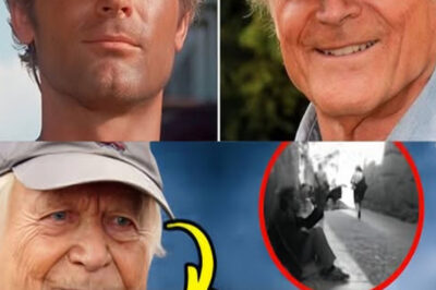 Terence Hill está así y cómo vive es triste