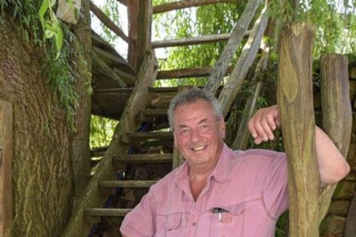 Increíble casa en el árbol: Un hombre construye un oasis de tranquilidad con vistas asombrosas
