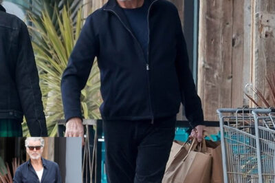 ¡Pierce Brosnan Sorprende a Todos a sus 71 Años con un Estilo que Roba Suspiros!