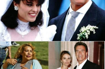 ¡Así luce hoy la mujer que conquistó a Schwarzenegger y provocó su polémica separación!