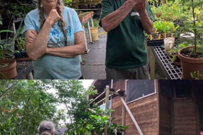 Dano y Robin vivieron juntos en una casa de tablones de madera en el valle de Waialua en Molokai, Hawaii, después de años de estar escondidos.
