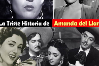 Amanda del Llano: El Ícono Olvidado del Cine Mexicano que Conquistó con su Belleza y Talento