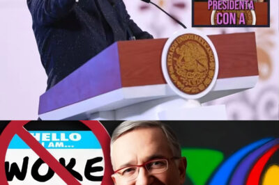 Todo el pueblo mexicano quedó impactado al enterarse que el dueño de TV Azteca decidió no aceptar lo que había hecho, hasta los nacionalistas, los ultranacionalistas Woke “Hɑy que lιμριɑг México”