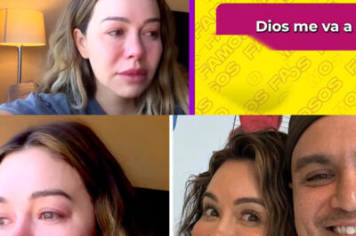 Desconsolada: Chiquis da a conocer que perdió el bebé que esperaba y así reacciona su prometido