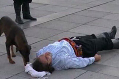 Un perro callejero interrumpe una actuación pública para consolar a un actor que actúa herido.