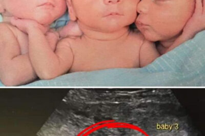 Mother rushed to emergency room to deliver triplets: nurses look closer at their faces and then freeze