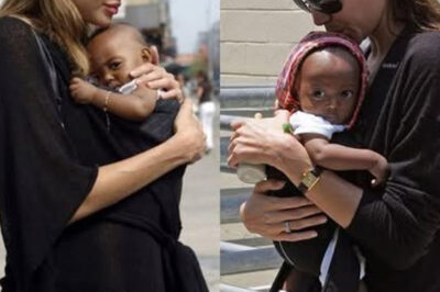 Investigando el sorprendente plan de herencia de Angelina Jolie