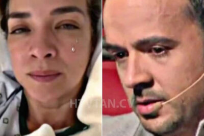 Adamari López destapa que pasó con los embriones que congeló con Luis Fonsi.
