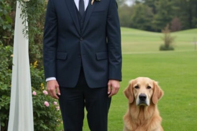 SOY UN VETERANO HERIDO QUE ELIGIÓ A MI PERRO DE SERVICIO PARA SER EL ADULTO EN SU BODA, Y ALGUNAS PERSONAS LO ODIARON