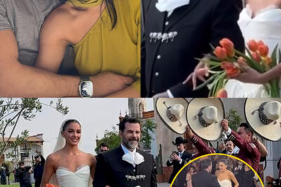 Así fue la Millonaria boda de Alejandra Capetillo hija de Eduardo Capetillo y se confirma Sospechas