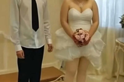 Mientras se firmaba el acta, ¡algo se movió bajo el vestido de la novia! El novio palideció y todos los invitados silbaron…