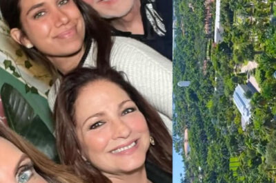 Asi es la isla privada donde viven Gloria Y Emilio Estefan en la ciudad de Miami