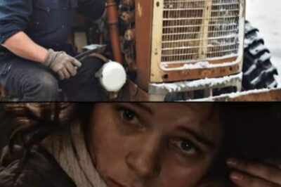 Corriendo a la granja, el conductor del tractor le dio las llaves de su casa a una mujer sin hogar que pasaba frío y llevaba un niño pequeño. Y al regresar de su turno, miró por la ventana y se quedó atónito…