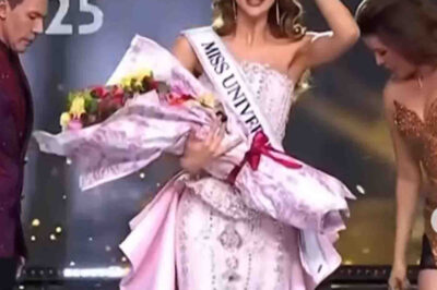 Yamilex Hernández se llevó un jugoso premio millonario por ganar Miss Universo Latina