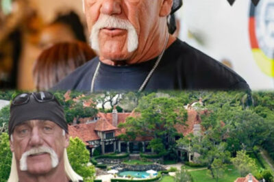 ¿Lujo o ruina? Así luce hoy la mansión que dejó Hulk Hogan tras sus escándalos