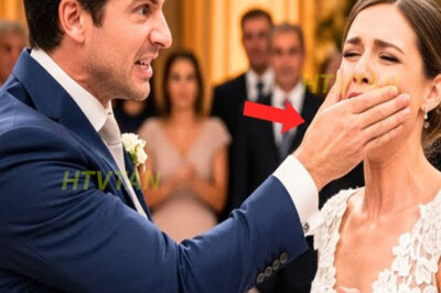 EL NOVIO GOLPEÓ A LA NOVIA DELANTE DE TODOS LOS INVITADOS, PERO LO QUE PASÓ DESPUÉS TE SORPRENDERÁ