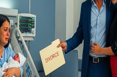 Dio a Luz y su Esposo le Pidió el Divorcio… Pero lo que Ella Hizo Nadie lo Esperaba