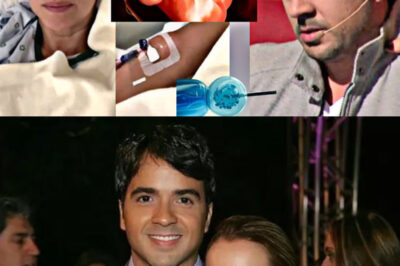 Adamari López destapa que pasó con los embriones que congeló con Luis Fonsi.