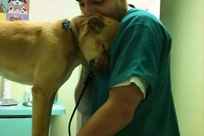 Una historia inesperada: salvar a un cachorro rechazado