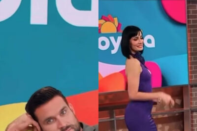 Cámaras de Telemundo captan a Clovis mirando con intensidad a Dayanara Torres,