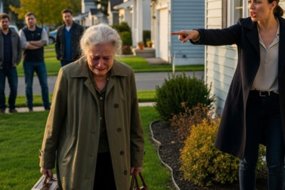 La madre fue echada a la calle por su hija a causa de su vejez. Inesperadamente, ocultaba un secreto que hizo que su hija se arrepintiera…