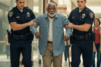 Un anciano humillado en un centro comercial desata la ira de un General de Cuatro Estrellas: La historia que conmovió a una nación