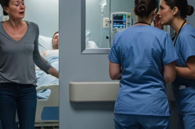 Mi abuelo me dejó un viejo garaje y le dio a mi hermana un apartamento acogedor en Nueva York. Mi marido no estaba contento, me insultó y me dijo que me fuera