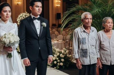 Una pareja de ancianos mendigos apareció en la boda de su hijo exitoso; durante toda la fiesta permanecieron de pie, temblando, sin ser invitados a sentarse… y lo inesperado ocurrió después.