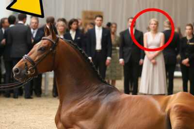 Un Caballo Rechazado en una Subasta Es Comprado por un Joven — Lo Que Pasa Deja Sin Palabras