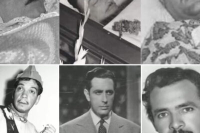 Cosas Raras Encontradas en las Autopsias de 11 Actores del Cine de Oro Mexicano…