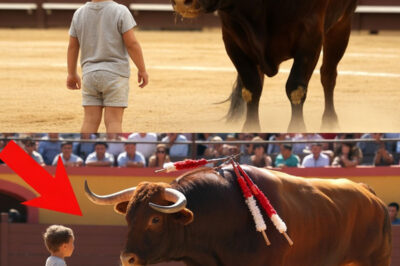 Nadie Podía Tocar A Ese Toro — Hasta Que Llegó Ese Niño… Y Todo Cambió.