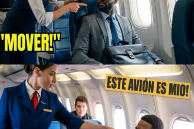 CEO negro expulsado de asiento VIP por pasajero blanco… y los despidió a todos al instante..!