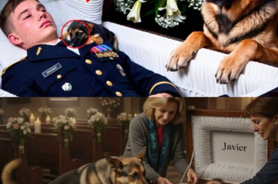 El Perro Ladraba Sin Parar en el Funeral… ¡Hasta Que Alguien Abrió el Ataúd!