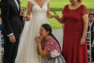 El día de la boda de mi hijo, la empleada doméstica corrió de repente al escenario, se arrodilló y confesó una verdad impactante que conmocionó a toda la sala…