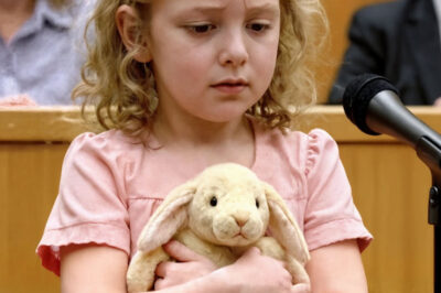 «En mi audiencia de divorcio, el juez le pidió a mi hija de cinco años que testificara… Sus palabras dejaron a toda la sala sin palabras.»