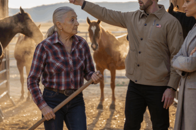Compré una finca para disfrutar de mi jubilación, pero mi hijo quería traer a toda una multitud y me dijo: “Si no te gusta, regrésate a la ciudad”. No dije nada. Pero cuando llegaron, vieron la sorpresa que les había dejado.